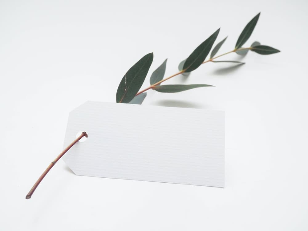 Featured image of post hugo测试
